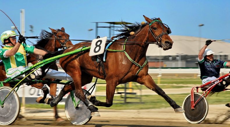 Gran Premio Marangoni