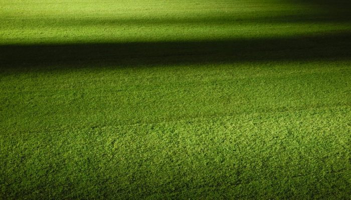 Brasilerao: San Paolo contro Palmeiras