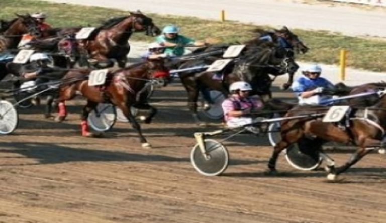 Domenica 10 ottobre la finale delle Oaks a Roma