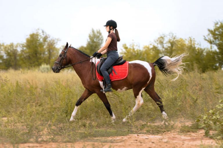 Come battere la sella al trotto