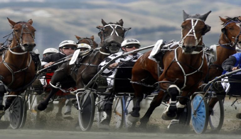 Cavalli trotto: la storia del derby italiano