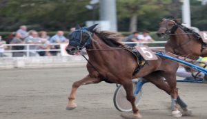 Anteprima Gran Premio Anact