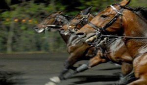 Anteprima del Gran Premio San Paolo a Montegiorgio