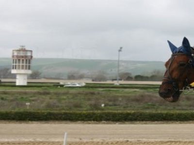 Gran premio all'ippodromo di Foggia