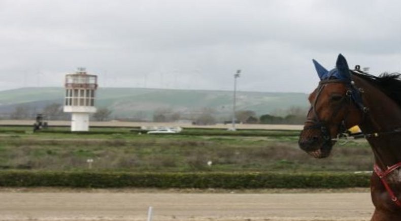 Gran premio all'ippodromo di Foggia