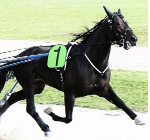 Zacon GIO il Record della corsa