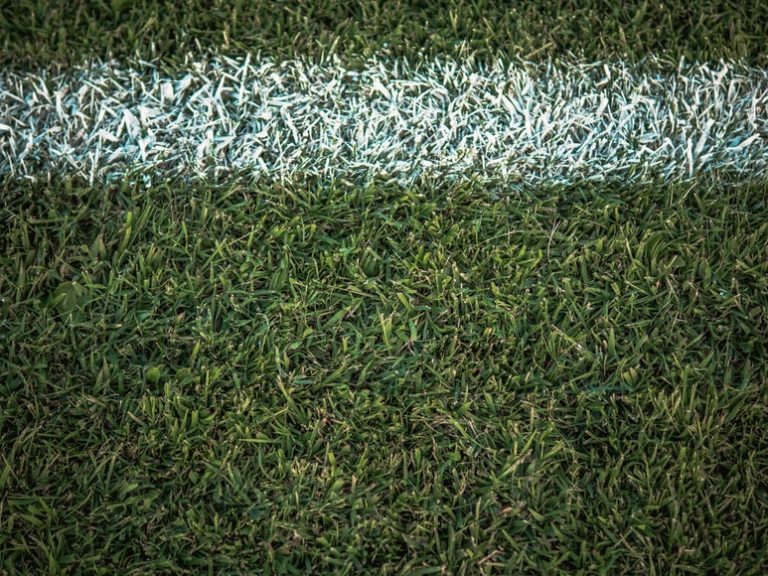 Linea bianca campo da calcio su erbetta verde