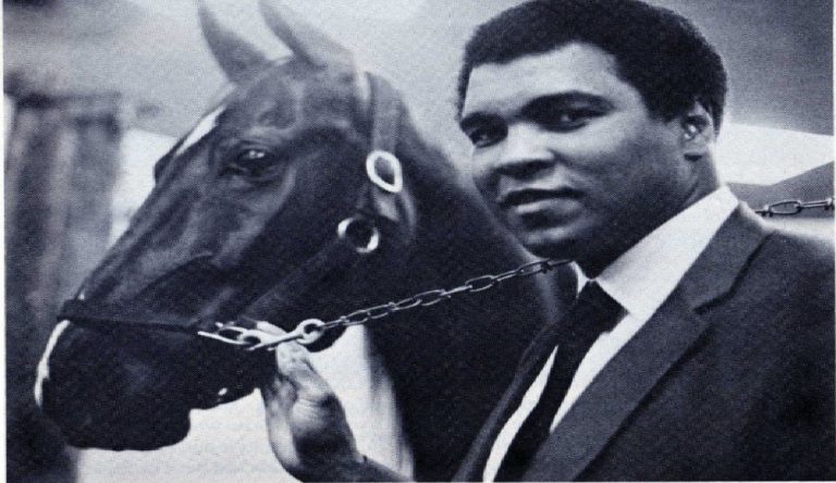 Muhammad Ali campione anche nel Trotto