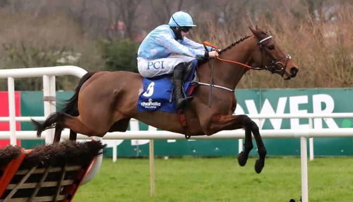 Honeysuckle protagonista dell'Irish Champion Hurdle