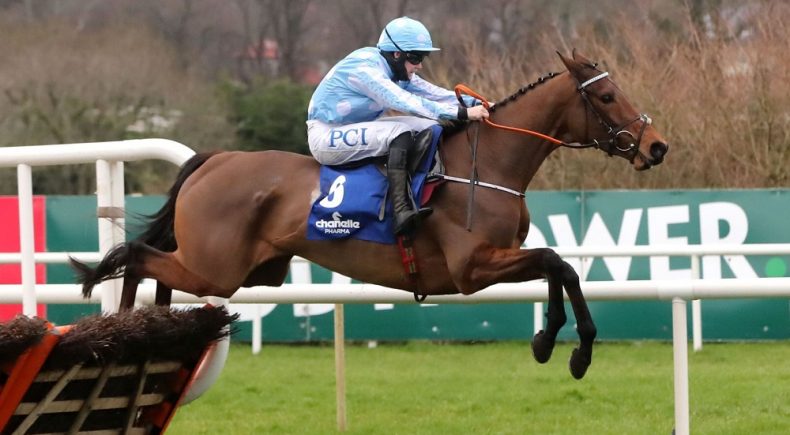 Honeysuckle protagonista dell'Irish Champion Hurdle