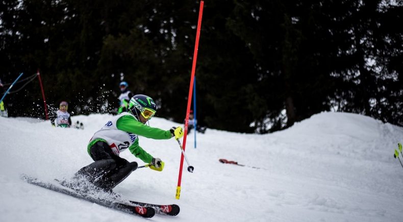 Sci Alpino, slalom gigante coppa del mondo kranjska gora