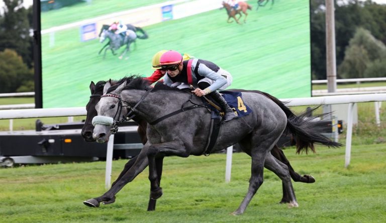 Ghinee Femmine d'Italia