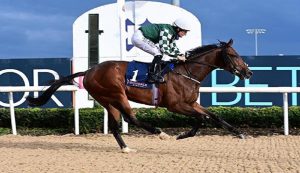 Premio Parioli, Ghinee italiane