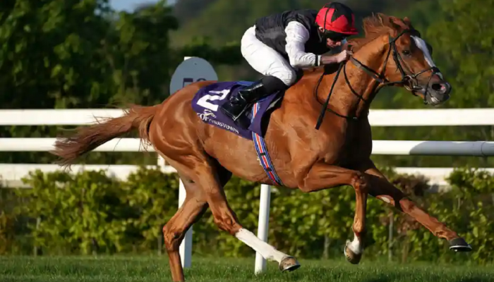goodwood
