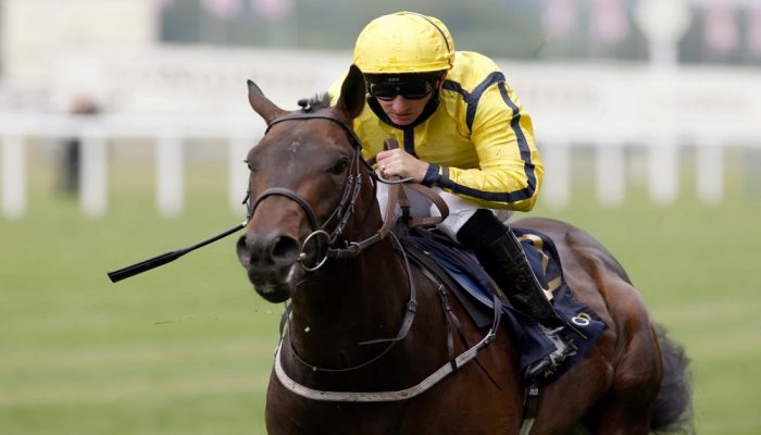 newmarket