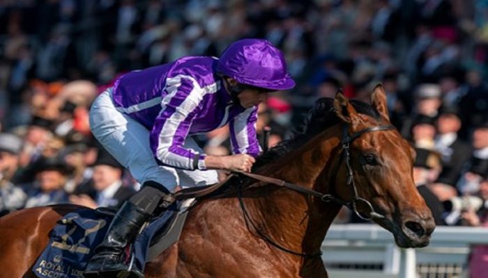 Newmarket
