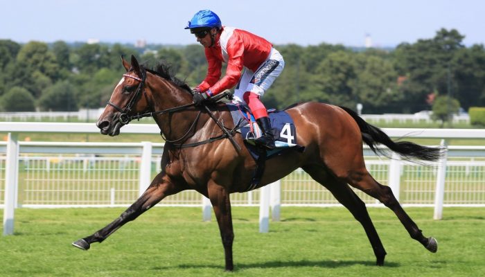 Newmarket