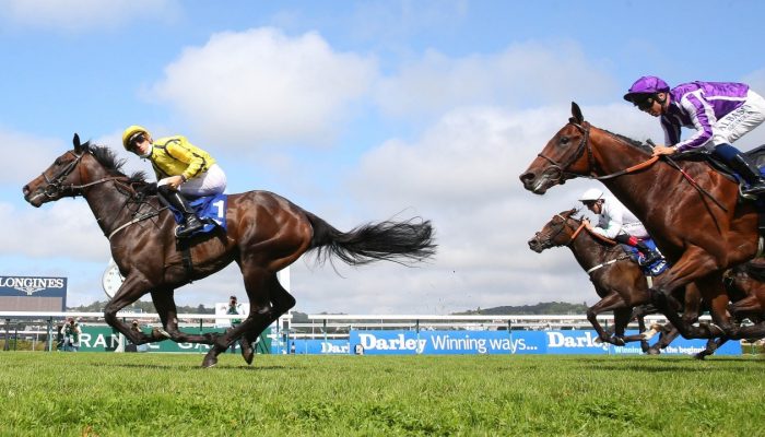 Newmarket Perfect Power