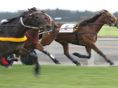 Hambletonian