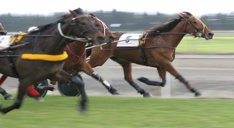 Hambletonian