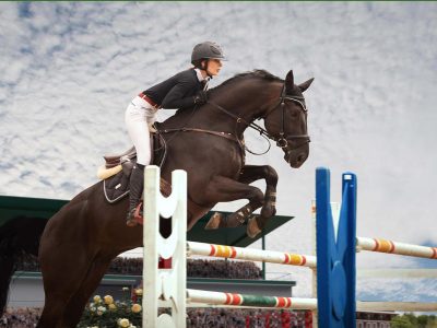 L’alimentazione del Cavallo Atleta