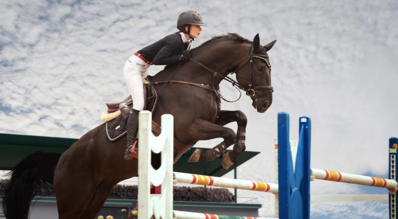 L’alimentazione del Cavallo Atleta