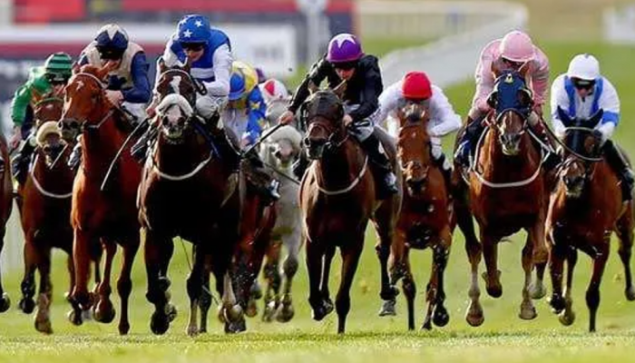 curragh