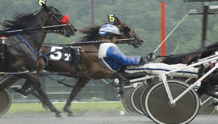 Gran Premio Saranno Famosi