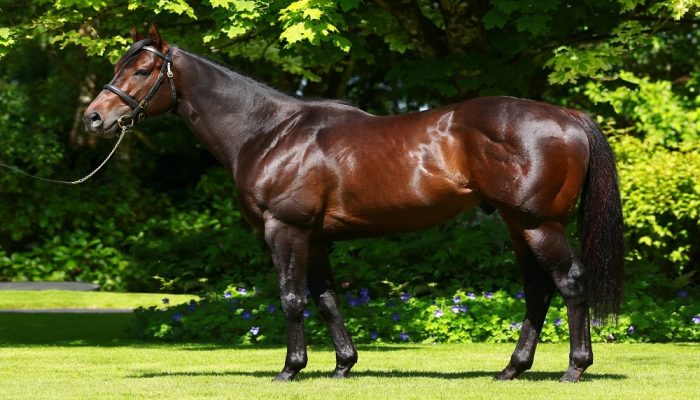 Cheveley
