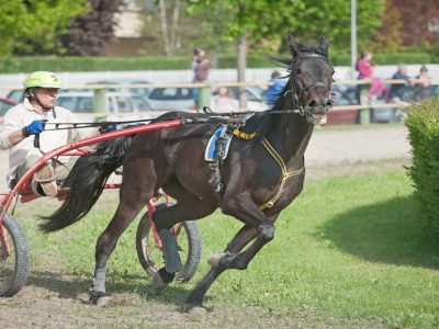 Gran Premio Valentinia