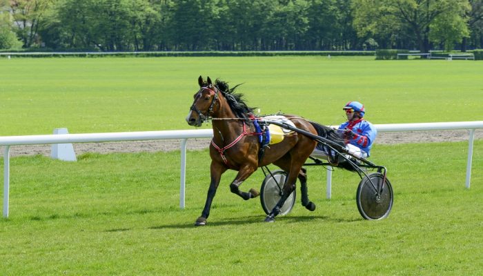 Vincennes