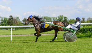 San Paolo di Callisto