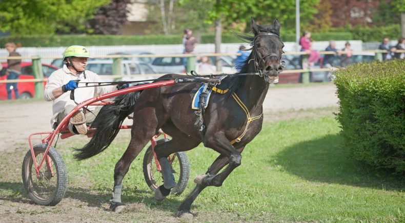 Gran premio san paolo