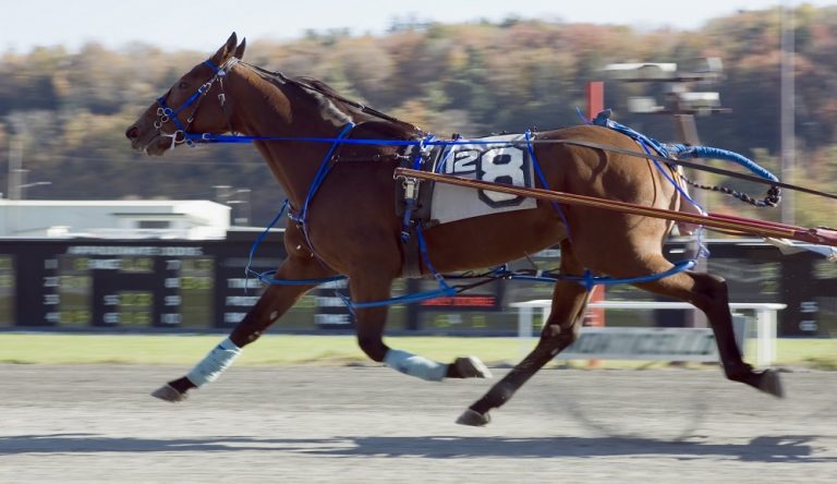 Gran Premio del Mediterraneo