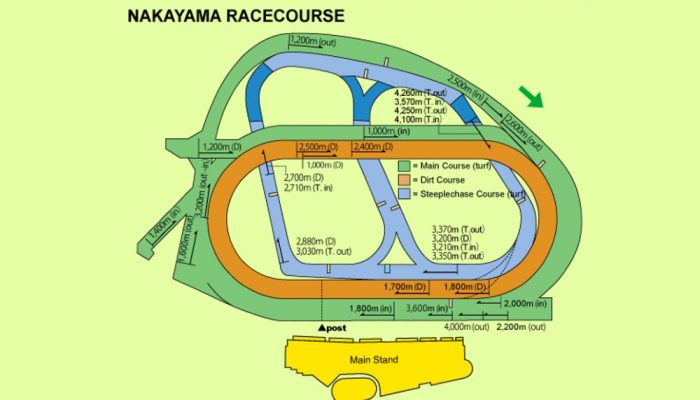 Arima Kinen