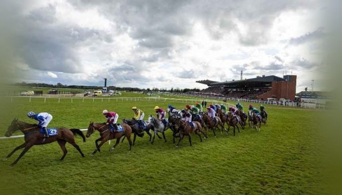 Fairyhouse