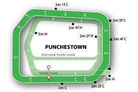 Tracciato punchestown