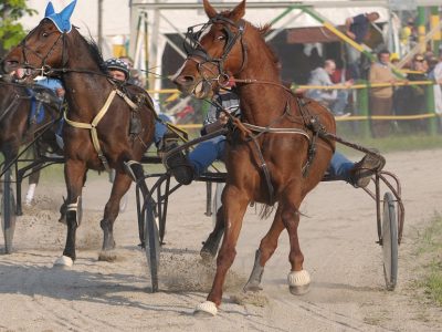 Siracusa taglio del nastro