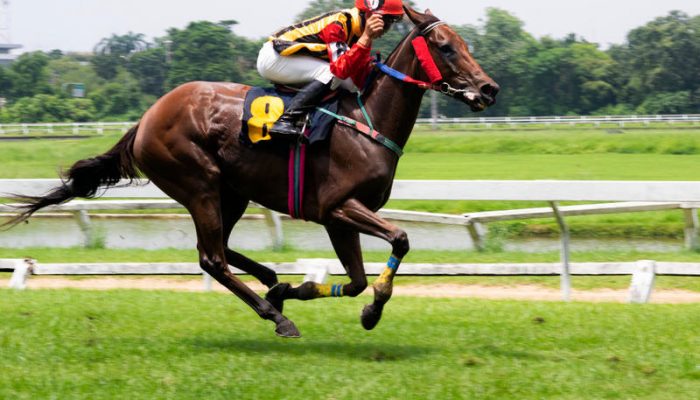 Le Origini dell'Ippica