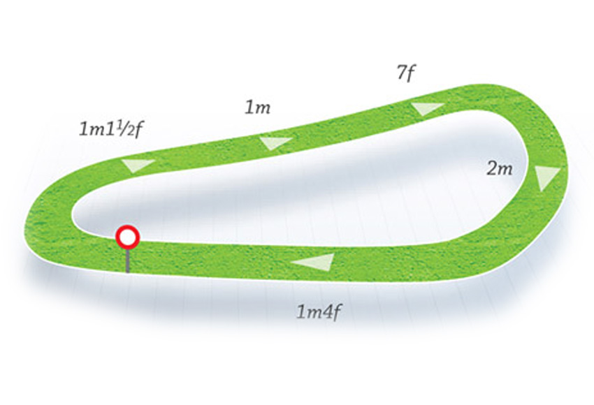 Mappa del tracciato Gowran Park