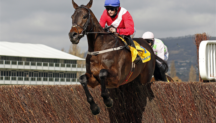 cheltenham day 3