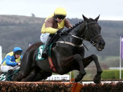 Cheltenham gold cup