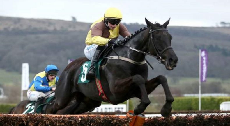 Cheltenham gold cup