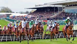 Punchestown