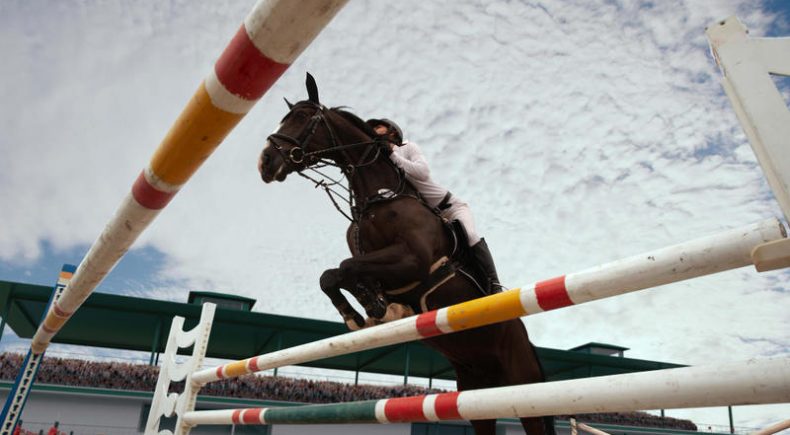 Come preparare un Cavallo Atleta alla Gara