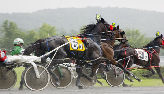 Cagnes