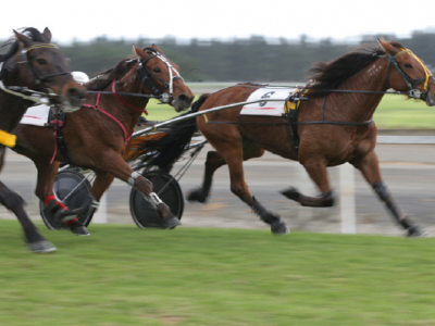 Gran Premio Padovanelle