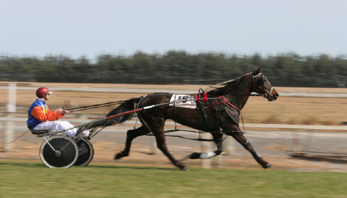 Gran Premio Saranno Famosi