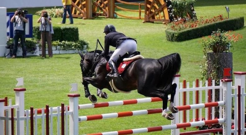 Saltare gli ostacoli a cavallo