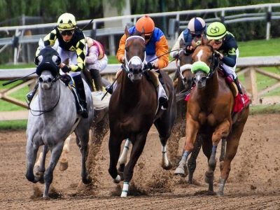 Dubai World Cup